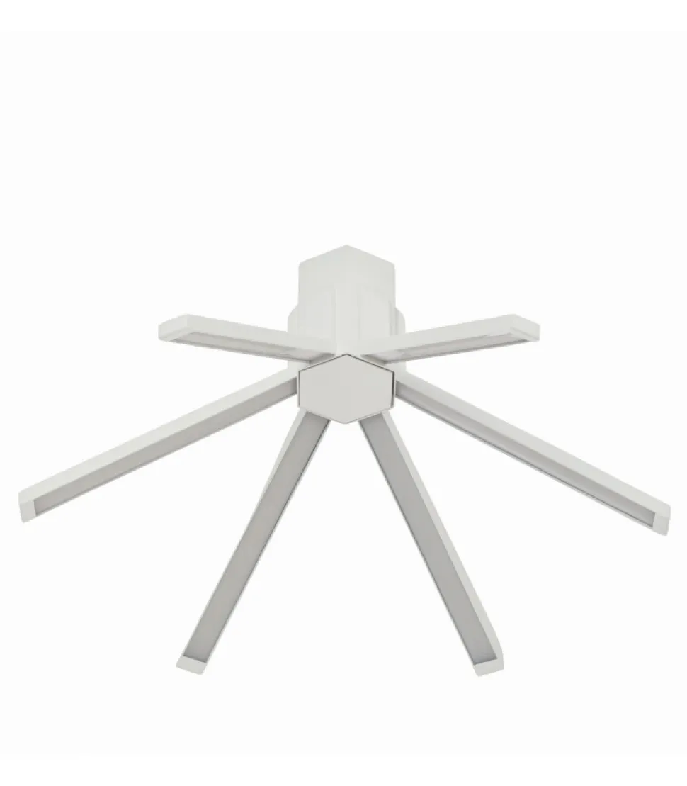 Aster, Lampada A Soffitto A 6 Luci Grande