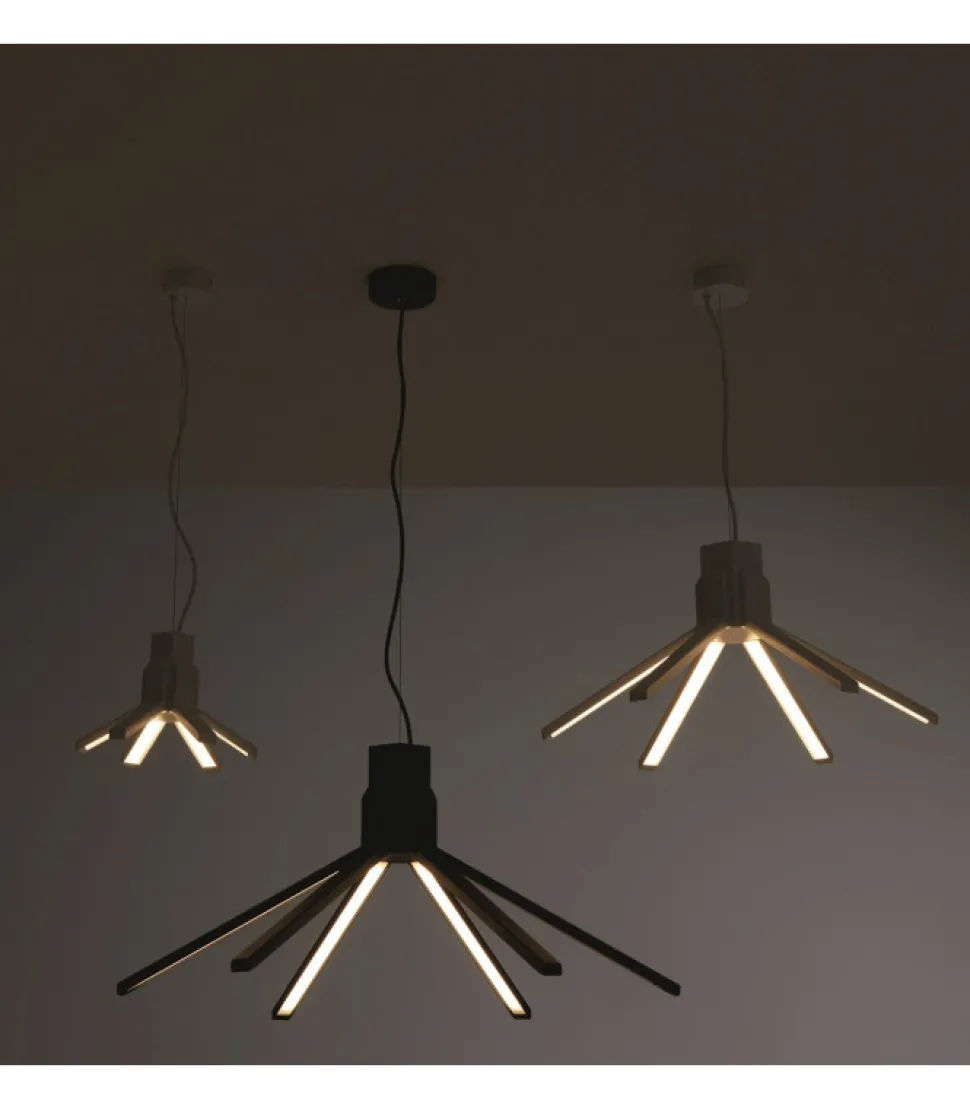 Aster, Sospensione A 6 Luci Piccola