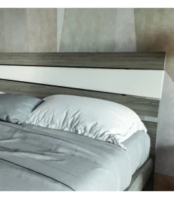 Camera Ptn302 Pratico