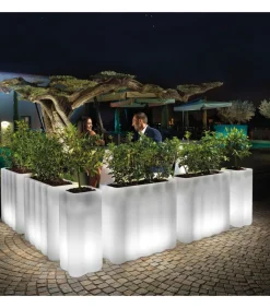 Colonna-Fioriera Nebula.