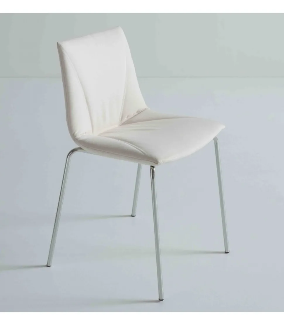 Colorfive Wrap Na Con O .