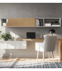 Composizione Scrivania Ptm306