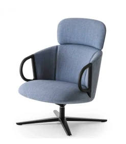 Cucaracha Hb Con Tavoletta Opzionale.