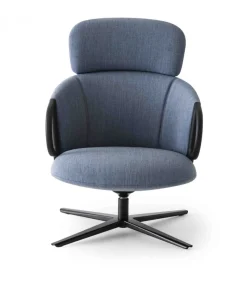 Cucaracha Hb Con Tavoletta Opzionale.