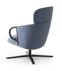 Cucaracha Hb Con Tavoletta Opzionale.