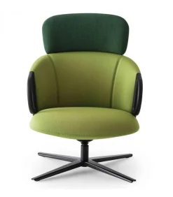 Cucaracha Hb Con Tavoletta Opzionale.