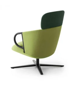 Cucaracha Hb Con Tavoletta Opzionale.