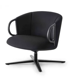 Cucaracha Lb Con Schienale Basso.