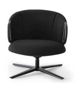 Cucaracha Lb Con Schienale Basso.