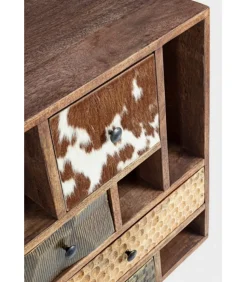 Dhaval 2A-11C Credenza