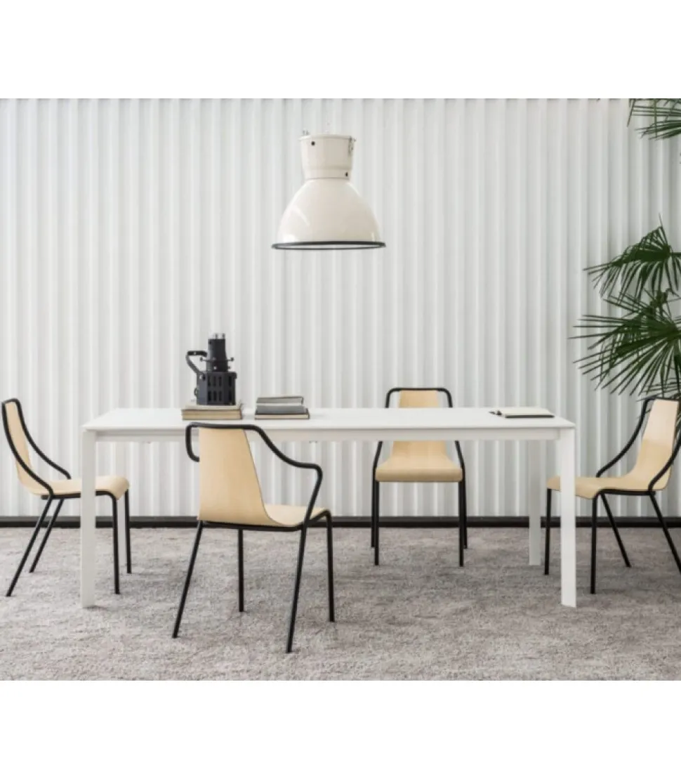 Disponibile Con Seduta In Tessuto, Pelle, Cuoio, Legno E Metallo