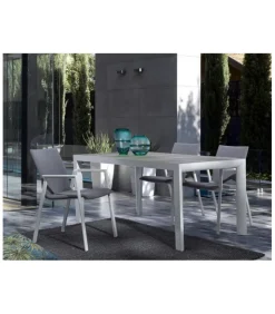 Odeon Sedia Con Braccioli