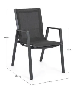 Pelagius Sedia Con Braccioli