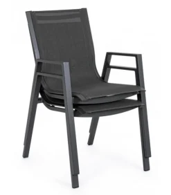 Pelagius Sedia Con Braccioli