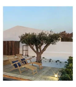 Poltrona Steamer Veradero - Fsc