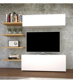 Redy, Mobile Porta Tv