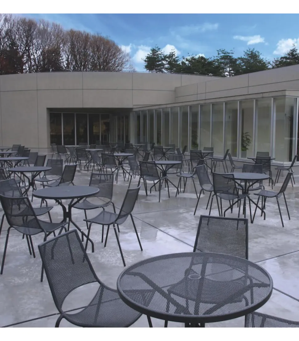 Sedia Ala Sd, Con Cuscino Per La Seduta.