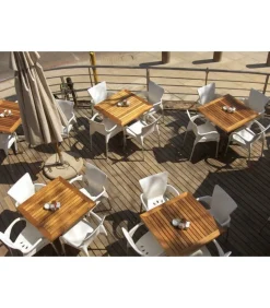 Sedia Beverly Dalle Forme Morbide E Avvolgenti