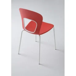 Sedia Blog Bella Innovativa E Fresca