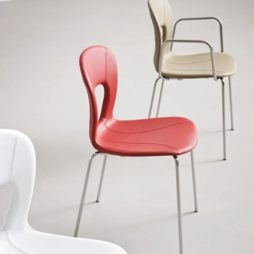 Sedia Blog Bella Innovativa E Fresca