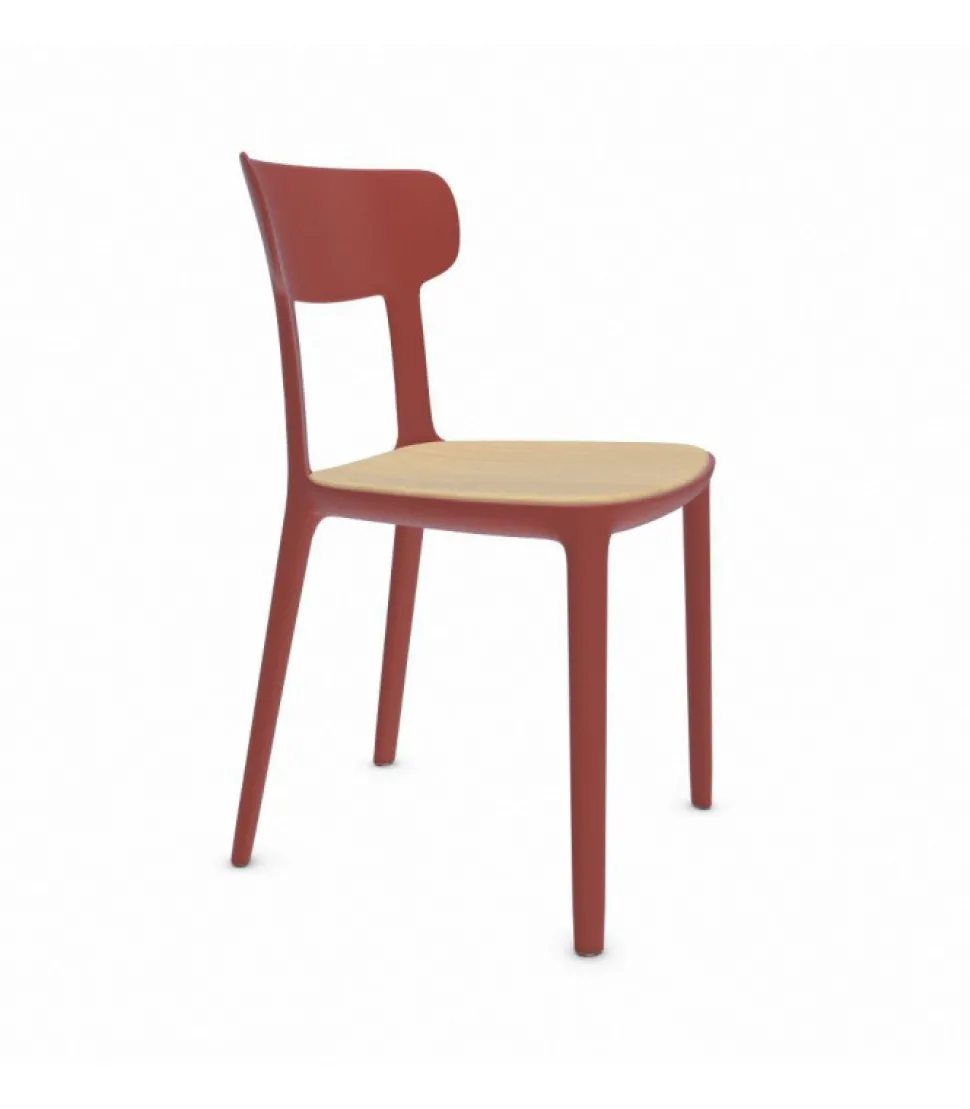 Sedia In Polipropilene Colorato