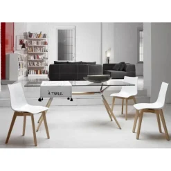 Sedia Natural Zebra Di Scab. Scegli Tu Il Colore Della Scocca In Policarbonato E Delle Gambe In Faggio.