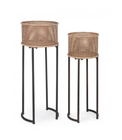 Set2 P.Pianta Elton To