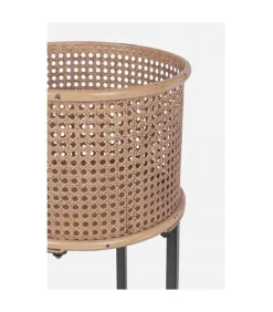 Set2 P.Pianta Elton To