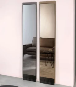 Specchiera Da Terra Un Vetro Trasparente