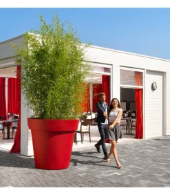 Vaso Easy, Disponibile In Diverse Dimensioni.